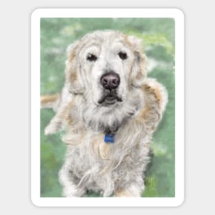 Golden Retriever Sitting on the Grass Sticker